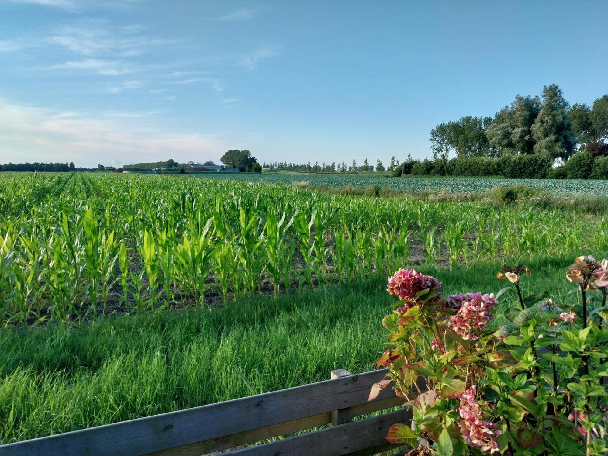 Vakantiewoning Hem 外观 照片